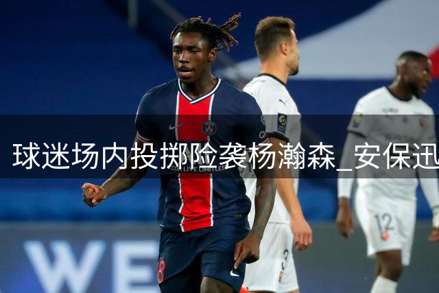 球迷场内投掷险袭杨瀚森 安保迅速处置清场